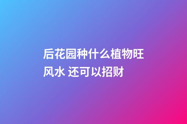 后花园种什么植物旺风水 还可以招财